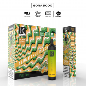 SORA 5000-Aloe-Mango-Melonen-Eis