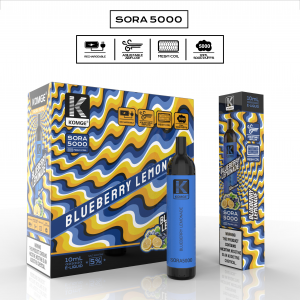 SORA 5000-Limonade aux bleuets