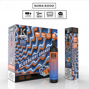 SORA 5000-Glace à l'orange et aux bleuets